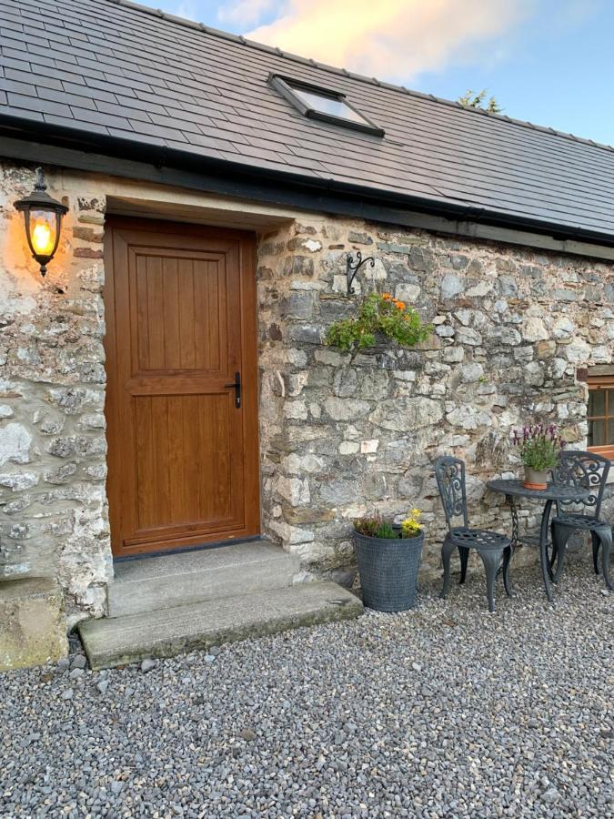 The Reindeer Retreat Buttercup Twin Hotel Kidwelly ภายนอก รูปภาพ